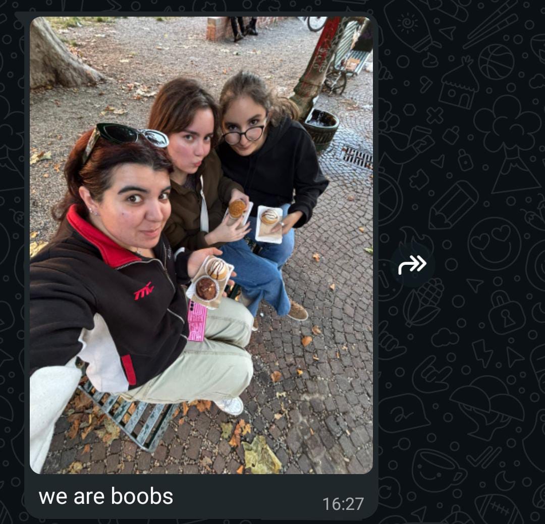 We are boobs